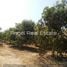  Land for sale in Bago, Bago Pegu, Pegu, Bago