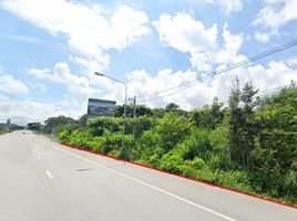  Grundstück zu verkaufen in Pak Chong, Nakhon Ratchasima, Nong Sarai, Pak Chong