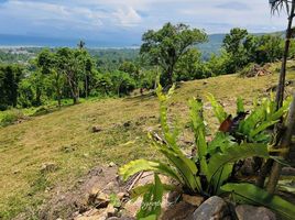  Land for sale in Ang Thong, Surat Thani, Ang Thong