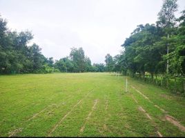  Land for sale in Nam Phrae, Hang Dong, Nam Phrae