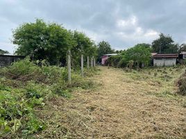  Land for sale in Lop Buri, Phrommat, Mueang Lop Buri, Lop Buri