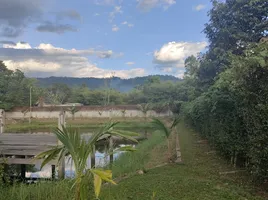 5 Schlafzimmer Haus zu verkaufen in Hin Tang, Nakhon Nayok, Hin Tang, Mueang Nakhon Nayok, Nakhon Nayok, Thailand