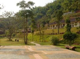  Grundstück zu verkaufen in Mae Chan, Chiang Rai, San Sai, Mae Chan, Chiang Rai