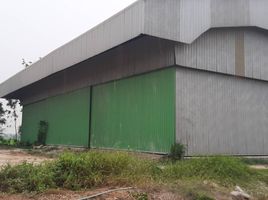  Warehouse for sale in Chai Nat, Wang Kai Thuean, Hankha, Chai Nat