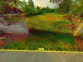  Land for sale in San Kamphaeng Chiang Mai, Mae Pu Kha, San Kamphaeng, Chiang Mai, Thailand