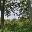  Land for sale in Phuket, Thep Krasattri, Thalang, Phuket