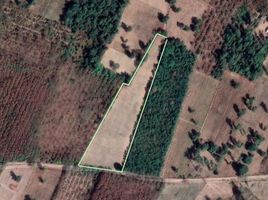  Land for sale in Yasothon, Phai, Sai Mun, Yasothon