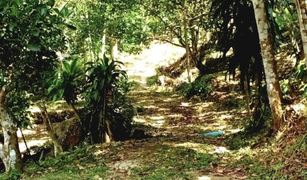 N/A Land for sale in Patong, Phuket 