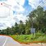  Land for sale in Thalang, Phuket, Si Sunthon, Thalang