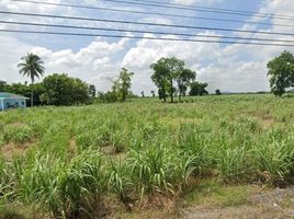  Land for sale in Saraburi, Wang Muang, Wang Muang, Saraburi