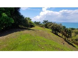  Land for sale in Golfito, Puntarenas, Golfito