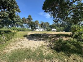  Land for sale in Pattaya Elephant Village, Nong Prue, Nong Prue