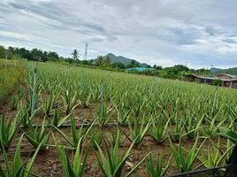  Grundstück zu verkaufen in Hua Hin, Prachuap Khiri Khan, Thap Tai