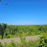  Land for sale in Puerto Plata, Sosua, Puerto Plata