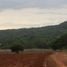  Land for sale in Pak Chong Nakhon Ratchasima, Pak Chong, Pak Chong, Nakhon Ratchasima