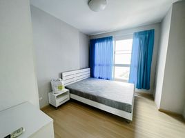 1 Schlafzimmer Wohnung zu vermieten im Plum Condo Bangkae, Bang Khae Nuea, Bang Khae