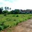  Land for sale in Pran Buri, Pran Buri, Pran Buri