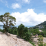  Land for sale in Bangla Road, Patong, Patong