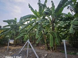  Земельный участок for sale in Лак Си Бангкок, Thung Song Hong