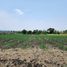  Land for sale in Nong Bun Mak Nakhon Ratchasima, Nong Bunnak, Nong Bun Mak, Nakhon Ratchasima
