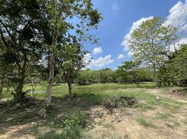  Land for sale in Chiang Rai, Tha Sai, Mueang Chiang Rai, Chiang Rai