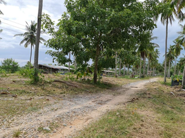  Land for sale in Nakhon Si Thammarat, Sao Phao, Sichon, Nakhon Si Thammarat