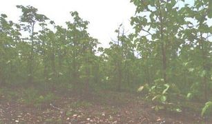 N/A Land for sale in Mueang Phan, Chiang Rai 