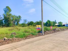  Land for sale in Lam Luk Ka, Pathum Thani, Lat Sawai, Lam Luk Ka