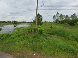  Land for sale in Prachin Buri, Wang Dan, Kabin Buri, Prachin Buri