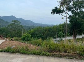  Grundstück zu verkaufen in Koh Samui, Surat Thani, Bo Phut