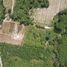  Land for sale in Na Toei, Thai Mueang, Na Toei