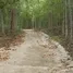  Grundstück zu verkaufen in Phu Phiang, Nan, Fai Kaeo, Phu Phiang, Nan