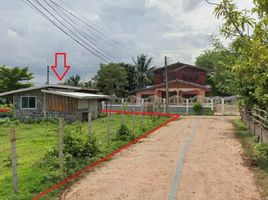  Land for sale in Kut Noi, Sikhio, Kut Noi