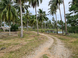  Grundstück zu verkaufen in Sichon, Nakhon Si Thammarat, Sao Phao, Sichon, Nakhon Si Thammarat