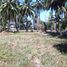  Land for sale in Taling Ngam, Koh Samui, Taling Ngam