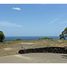  Land for sale in Guanacaste, Carrillo, Guanacaste