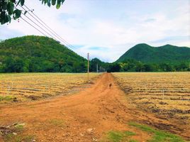  Grundstück zu verkaufen in Mueang Kanchanaburi, Kanchanaburi, Wang Dong, Mueang Kanchanaburi