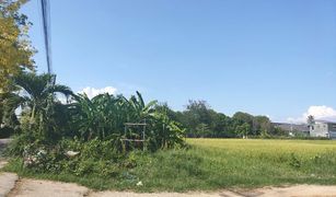 N/A Land for sale in Nong Chom, Chiang Mai 