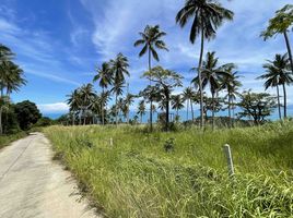  Land for sale in Maenam, Koh Samui, Maenam