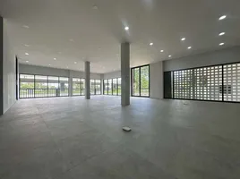 853 m² Office for rent in Thailand, Tha Sala, Mueang Chiang Mai, Chiang Mai, Thailand