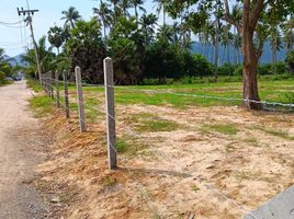  Grundstück zu verkaufen in Koh Samui, Surat Thani, Bo Phut