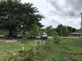  Grundstück zu verkaufen in Phanat Nikhom, Chon Buri, Mon Nang