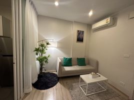 1 Bedroom Condo for rent at The Base Downtown, Wichit, Phuket Town, Phuket