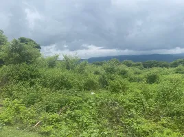  Land for sale in Makro Hangdong, Mae Hia, Mae Hia