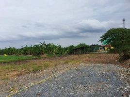  Grundstück zu verkaufen in Bang Bua Thong, Nonthaburi, Bang Khu Rat