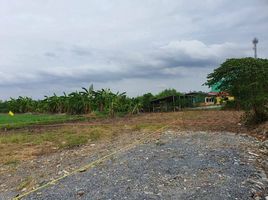  Land for sale in Bang Bua Thong, Nonthaburi, Bang Khu Rat, Bang Bua Thong