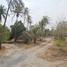 在Mueang Chon Buri, 春武里出售的 土地, Nong Ri, Mueang Chon Buri