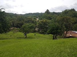  Land for sale in Puriscal, San Jose, Puriscal