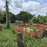  Land for sale in Chiang Mai, Nong Khwai, Hang Dong, Chiang Mai