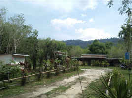  Land for sale in Thep Krasattri, Thalang, Thep Krasattri